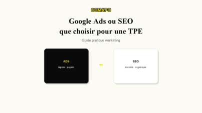 choix-seo-sea-tpe-visuel