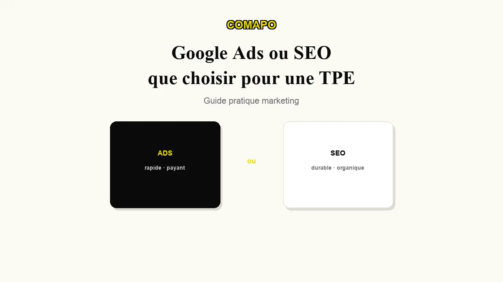 choix-seo-sea-tpe-visuel